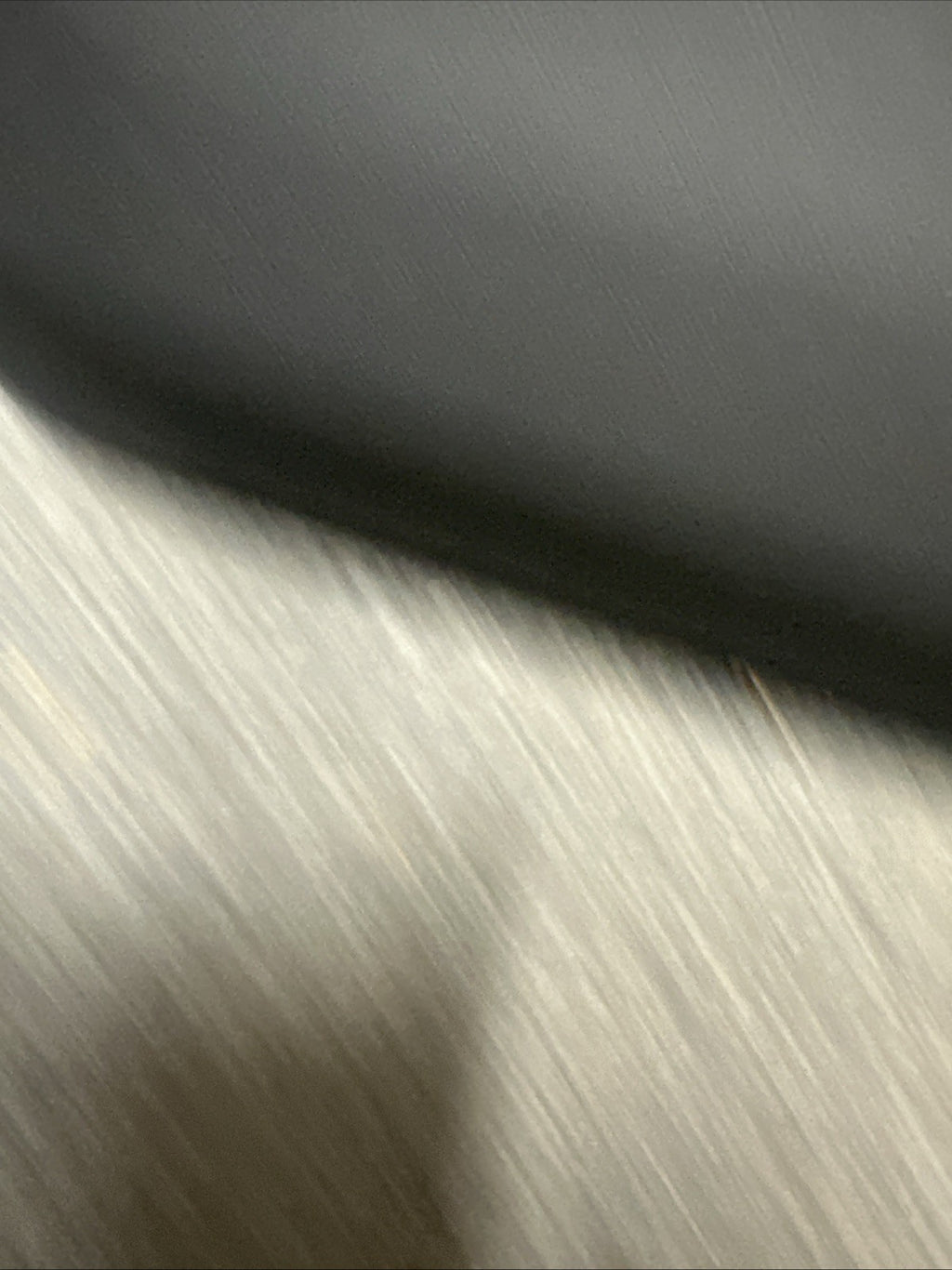 47491387