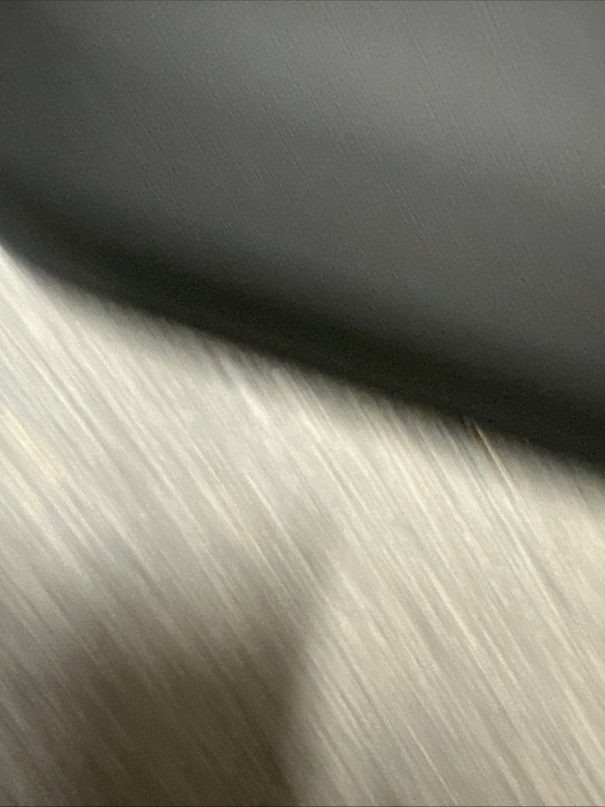 47491387