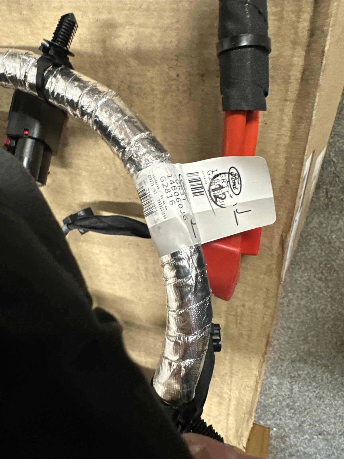 47491804