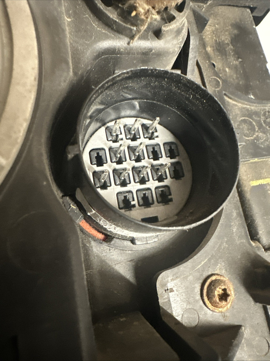 47491629